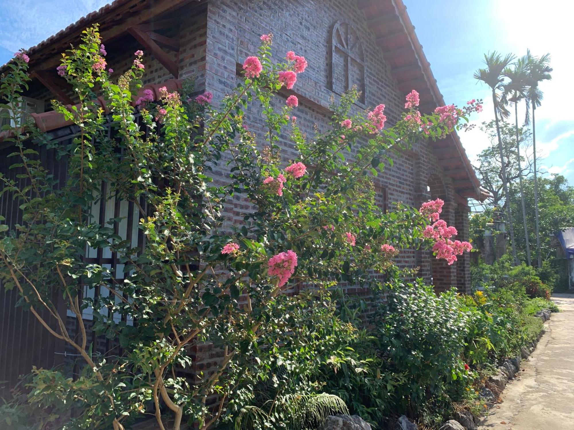 Dinh Gia Home Villa & Resort Ninh Binh Exterior foto